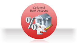 IB Custody Accounts